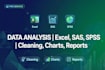 do best  at data analysis and and SAS and excel