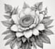 draw an unique botanical illustration
