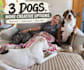 create high converting pet ugc video ads for your product