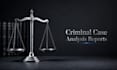 draft a comprehensive criminal case analysis report