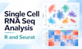 analyze single cell rna seq data using r and seurat