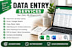 do accurate data entry,excel data cleaning and web search