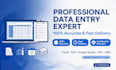 do excel data entry copy paste and web research
