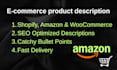 write professional e commerce product descriptions