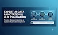 do ai data annotation and llm evaluation