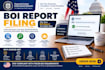 boi report boi filling