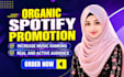provide professional spotify music promotion