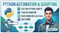 do python programming script and automation
