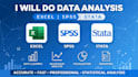 do data analysis,excel data cleaning,spss statistics