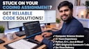 help you with any programing assessment