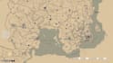 develop full redm server, premium scripts, maps and mlo, redm vorp