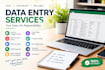 do data entry and web reserach in well way