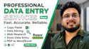 do professional data entry, excel cleanup, copy paste, and web research