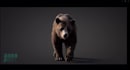 composite realistic animal animation, 3d animal model, cgi creatures animation