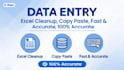 do accurate data entry, excel data clean up and copy paste work fast