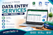 data entry excel payroll sap services