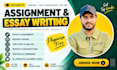 provide expert academic writer services
