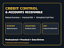 manage your accounts receivable, credit control
