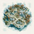 design map illustration drawing