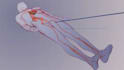create scientifically accurate 3d medical animation