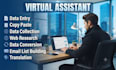 provide comprehensive data entry, web research, data conversion, and tran