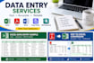professional data entry and excel data entry services