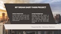 design professional social media posts using canva