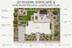 create texas and georgia 2d modern, xeriscape and low maintenance landscape plan