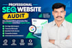 professional seo website audit