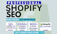 do shopify SEO, store optimization and speed optimization