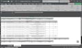 soy experto en captura de datos en excel
