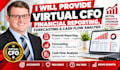 provide virtual cfo financial reporting, forecasting and cash flow analysis