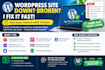 fix wordpress bugs, errors, and critical issues