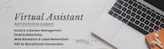 be your vitual assistant for excel data entry and canva