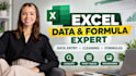 expertly handle excel data entry, cleaning, formulas and lookups
