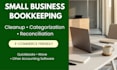 organize, categorize and reconcile your small business bookkeeping