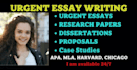 write and rewrite essay,thesis,research,dissertation and case study