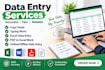 accurate excel data entry and spreadsheet work