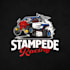 do make an automotive design racing logo design