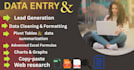 do data entry, data cleaning and formatting in excel