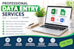 be your professional data entry operator