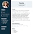 make a professional CV