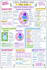 create beautiful handwritten notes, diagrams, quick summaries and digital PDF