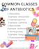create canva educational post