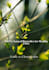 design aesthetic editable ebook template in canva
