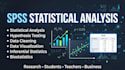 deliver expert spss statistical analysis services
