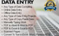 do fast copy typing pdf to word and accurate data entry