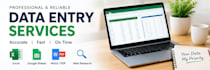 do professional data entry and excel data filtering