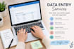 do data entry and data typing