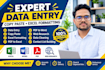 do expert data entry copy paste excel formatting